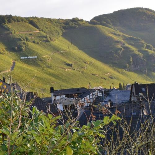 Готель Weingut Erbes-Henn Юрциґ Екстер'єр фото